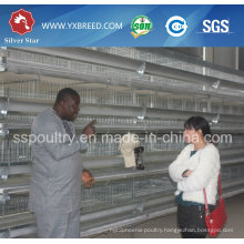 Farm Battery Cage
